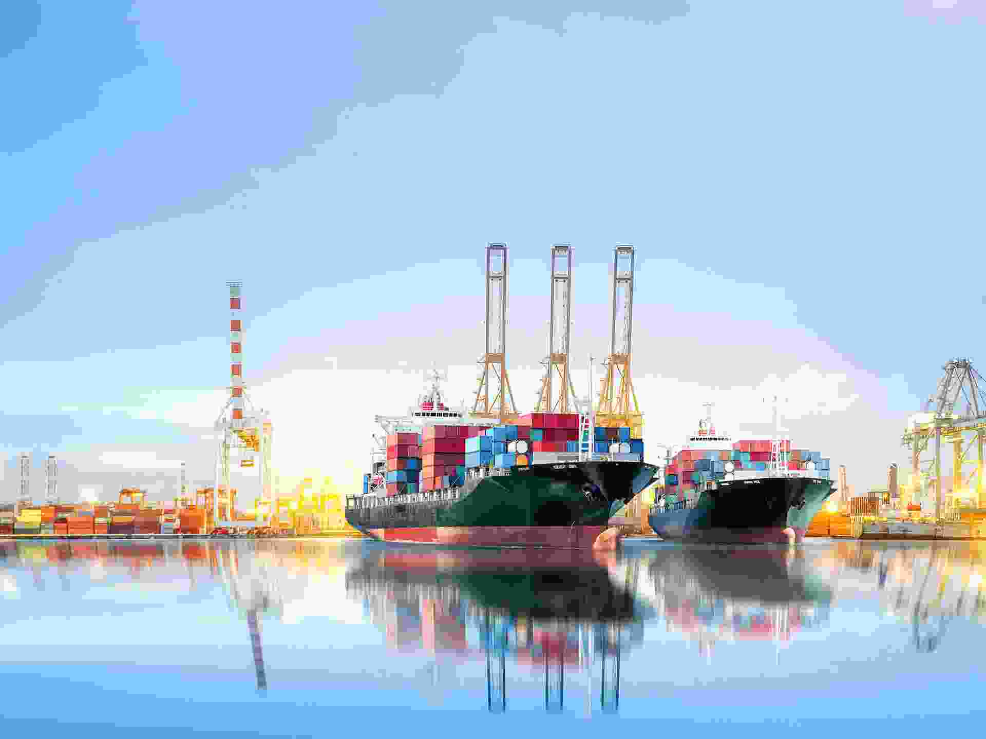 portfolio-image